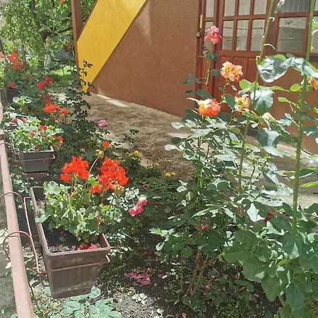 Sofija Appartement *