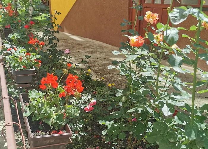 Sofija Apartamento *